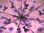 Зонт  женский механика  Rain Proof, арт. 1055-1_product